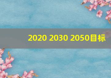 2020 2030 2050目标